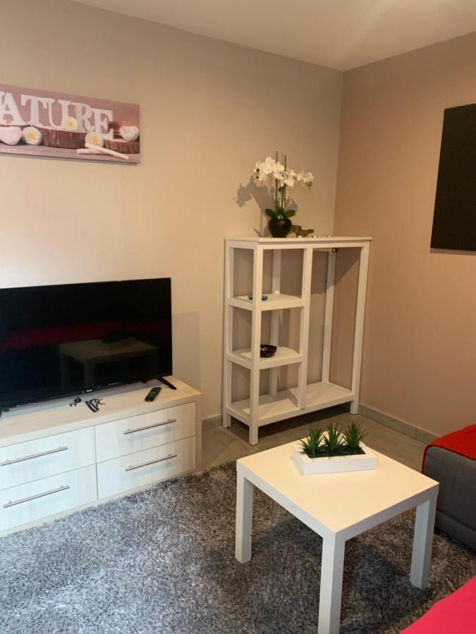 Appartement Clef Des Etoiles 科尔马 外观 照片