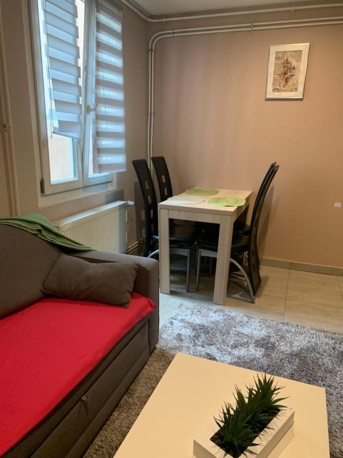 Appartement Clef Des Etoiles 科尔马 外观 照片